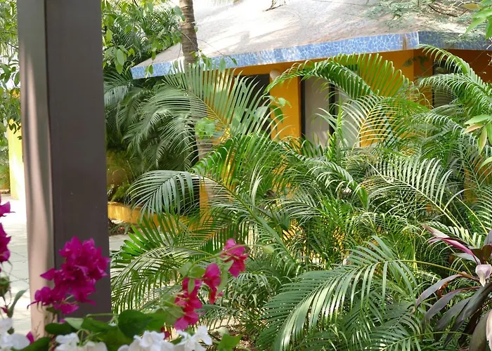 Mango Farm House Hotel Alibag